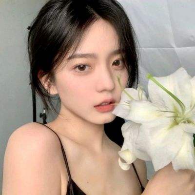 手机英雄要塞游戏下载